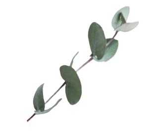 植物の装飾