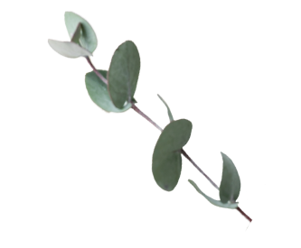 植物の装飾