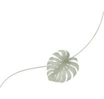 植物の装飾
