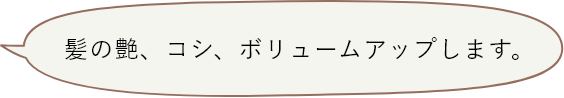 髪の艶、コシ、ボリュームアップします。